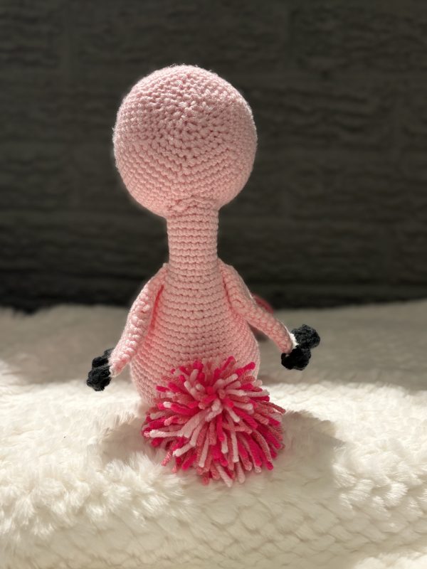 Flamingo - Image 3