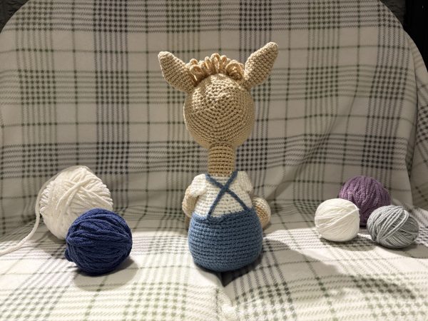 Llama - Image 3